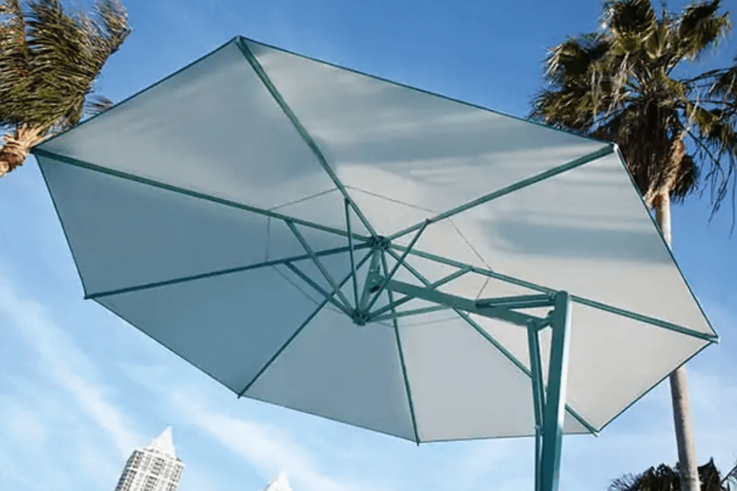 Umbrellas