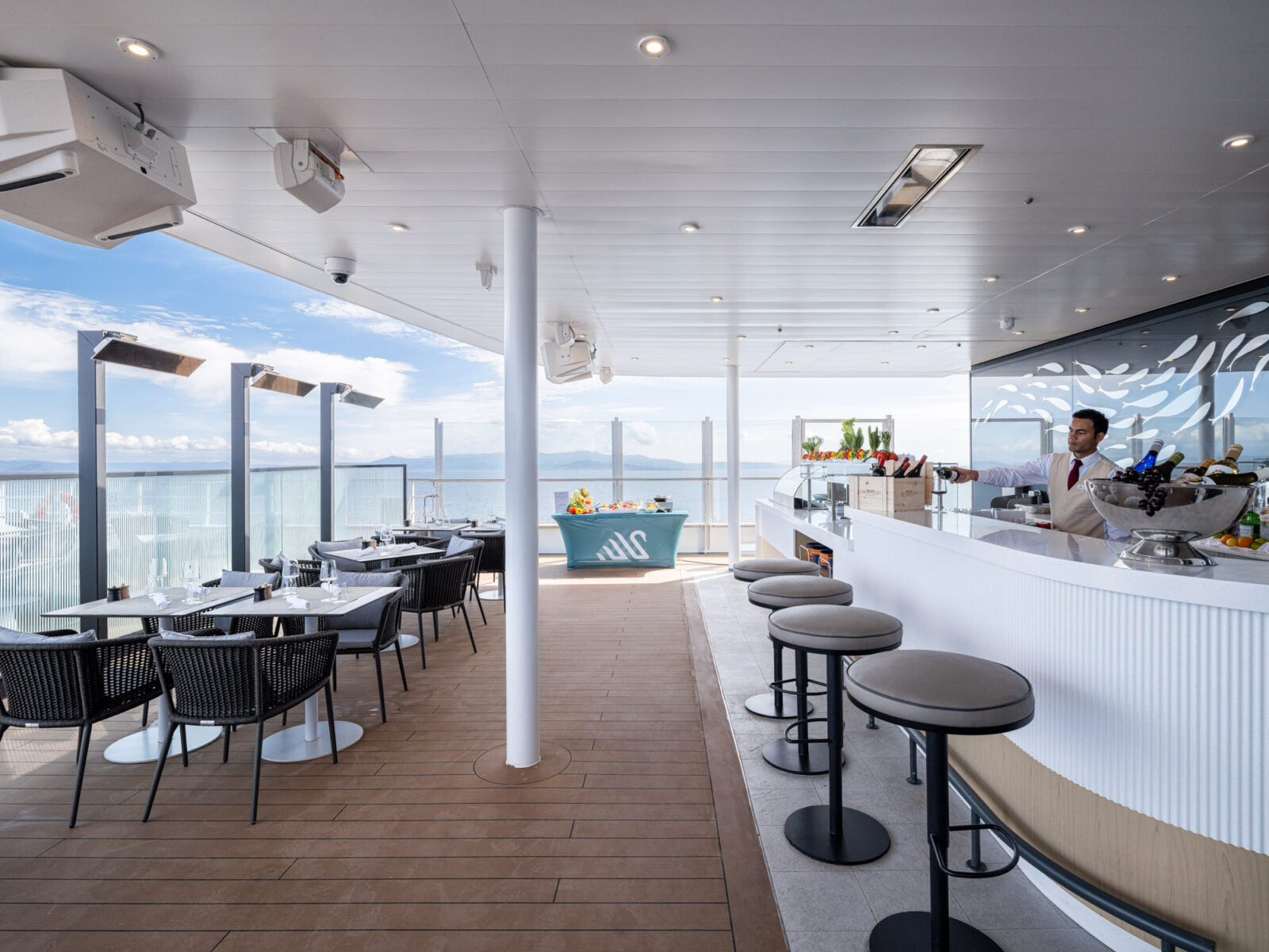 Platinum Smart-Heat™ Electric Marine