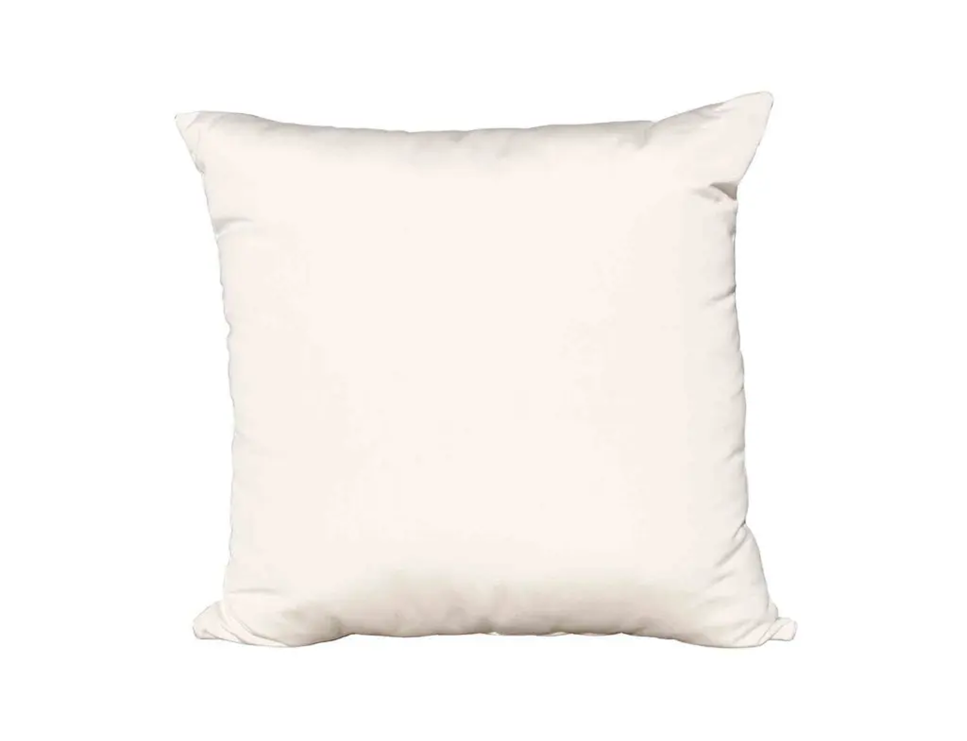 20″ x 20″ Outdoor Pillow