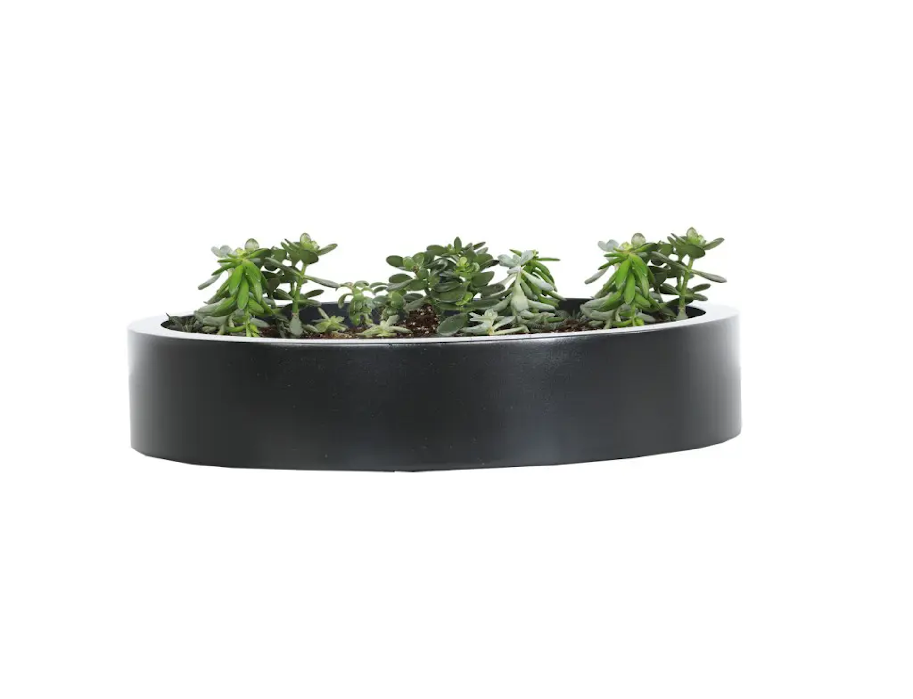 York Low 20″ Round Large Planter